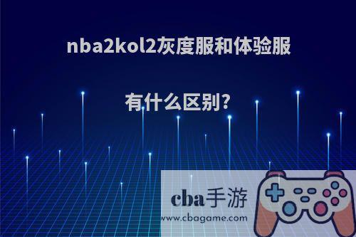 nba2kol2灰度服和体验服有什么区别?