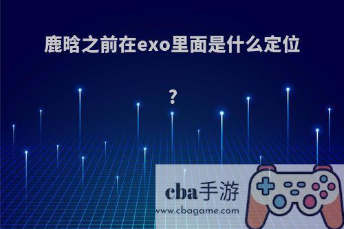 鹿晗之前在exo里面是什么定位?