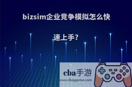 bizsim企业竞争模拟怎么快速上手?