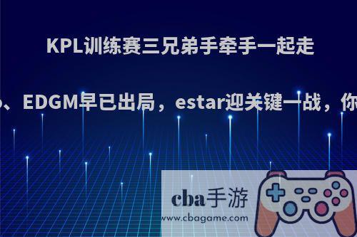 KPL训练赛三兄弟手牵手一起走，hero、EDGM早已出局，estar迎关键一战，你看好吗?