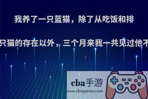我养了一只蓝猫，除了从吃饭和排泄可以看出来这只猫的存在以外，三个月来我一共见过他不到五次.怎么办?