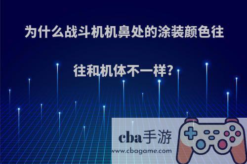为什么战斗机机鼻处的涂装颜色往往和机体不一样?
