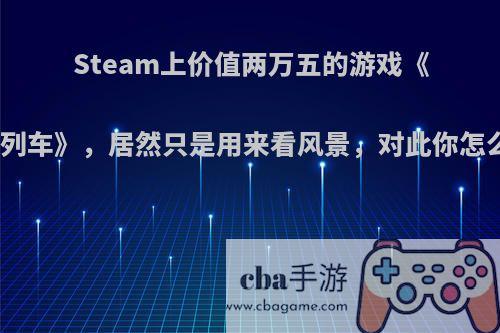 Steam上价值两万五的游戏《模拟列车》，居然只是用来看风景，对此你怎么看?