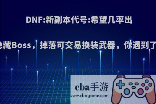 DNF:新副本代号:希望几率出现隐藏Boss，掉落可交易换装武器，你遇到了吗?