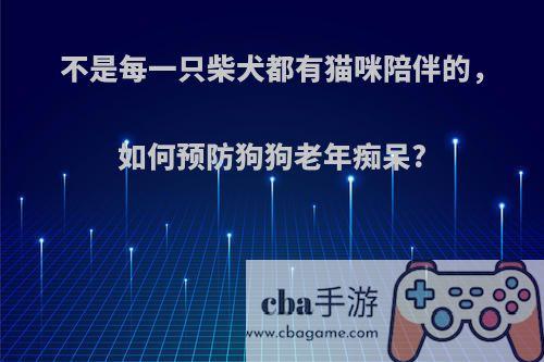 不是每一只柴犬都有猫咪陪伴的，如何预防狗狗老年痴呆?