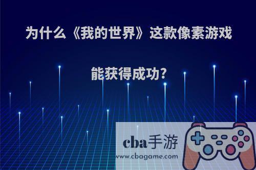 为什么《我的世界》这款像素游戏能获得成功?