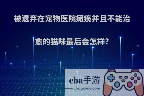 被遗弃在宠物医院瘫痪并且不能治愈的猫咪最后会怎样?