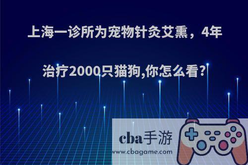 上海一诊所为宠物针灸艾熏，4年治疗2000只猫狗,你怎么看?