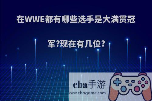 在WWE都有哪些选手是大满贯冠军?现在有几位?