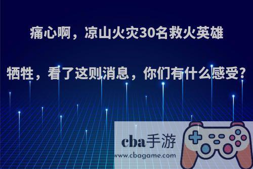 痛心啊，凉山火灾30名救火英雄牺牲，看了这则消息，你们有什么感受?