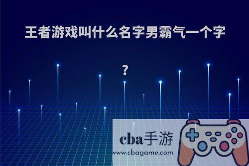 王者游戏叫什么名字男霸气一个字?