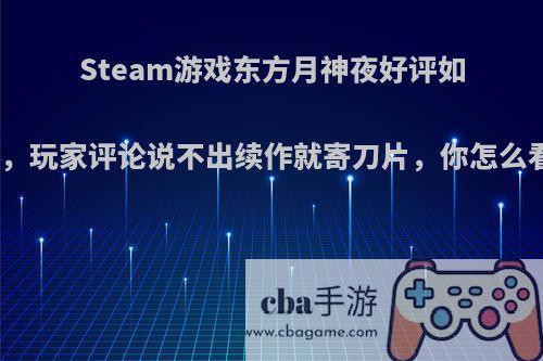 Steam游戏东方月神夜好评如潮，玩家评论说不出续作就寄刀片，你怎么看?