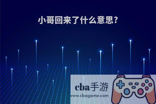 小哥回来了什么意思?