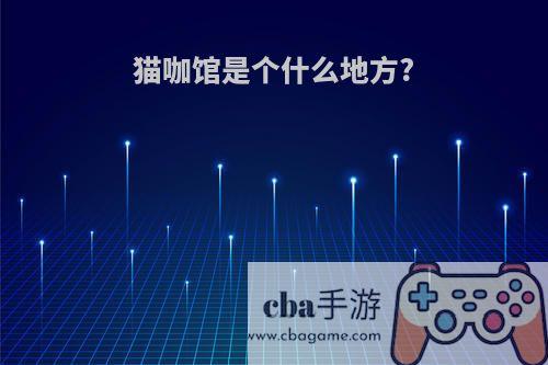 猫咖馆是个什么地方?