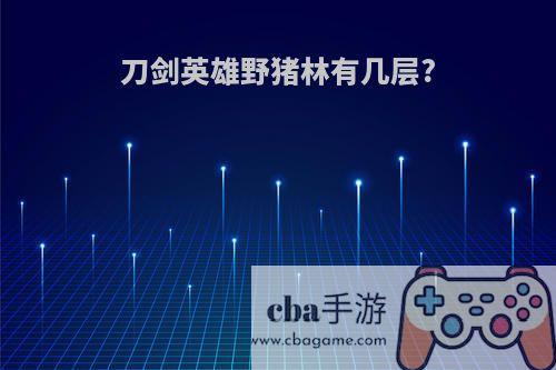 刀剑英雄野猪林有几层?