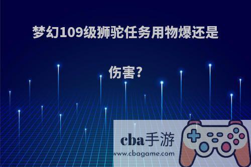 梦幻109级狮驼任务用物爆还是伤害?