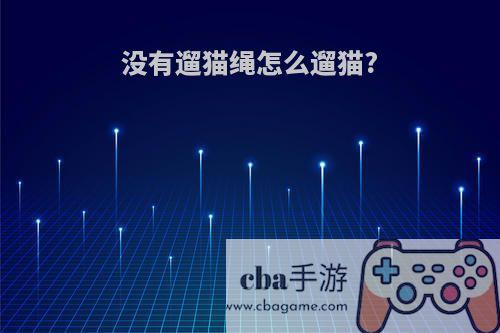 没有遛猫绳怎么遛猫?