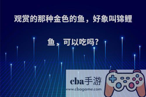 观赏的那种金色的鱼，好象叫锦鲤鱼，可以吃吗?