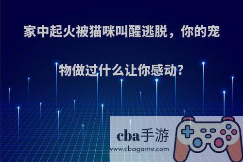 家中起火被猫咪叫醒逃脱，你的宠物做过什么让你感动?