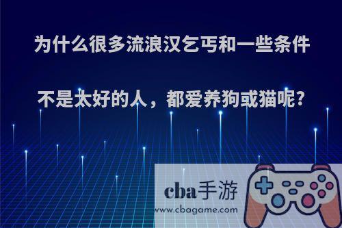 为什么很多流浪汉乞丐和一些条件不是太好的人，都爱养狗或猫呢?