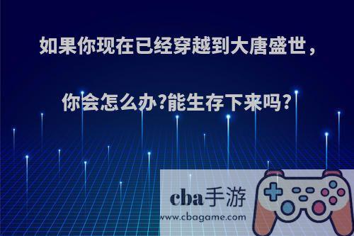 如果你现在已经穿越到大唐盛世，你会怎么办?能生存下来吗?